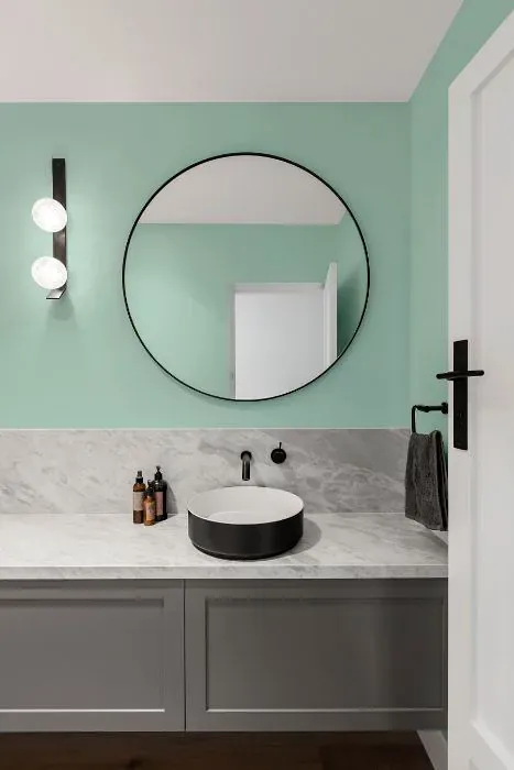 Benjamin Moore Robin's Nest minimalist bathroom