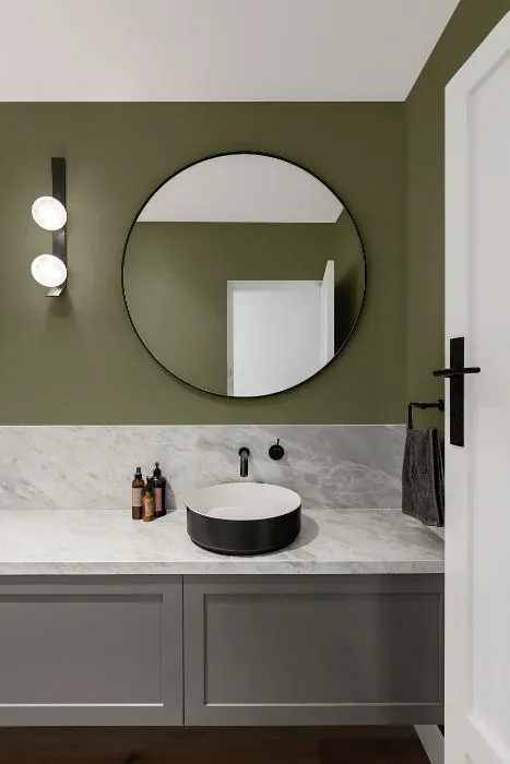 Benjamin Moore Rolling Hills minimalist bathroom