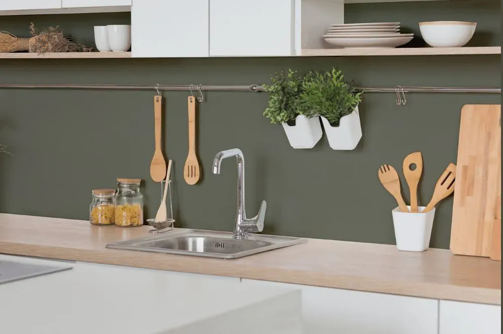 Benjamin Moore Rooftop Garden kitchen backsplash