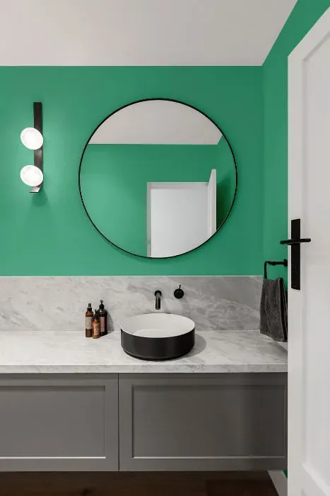 Benjamin Moore Rosamilia Green minimalist bathroom