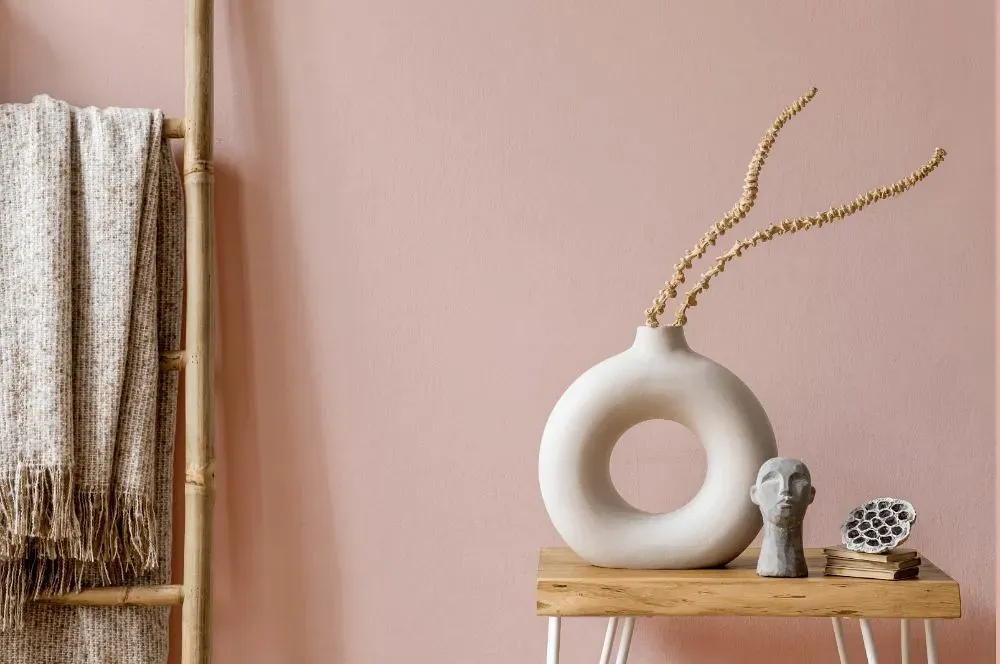 Benjamin Moore Rose Blush wall