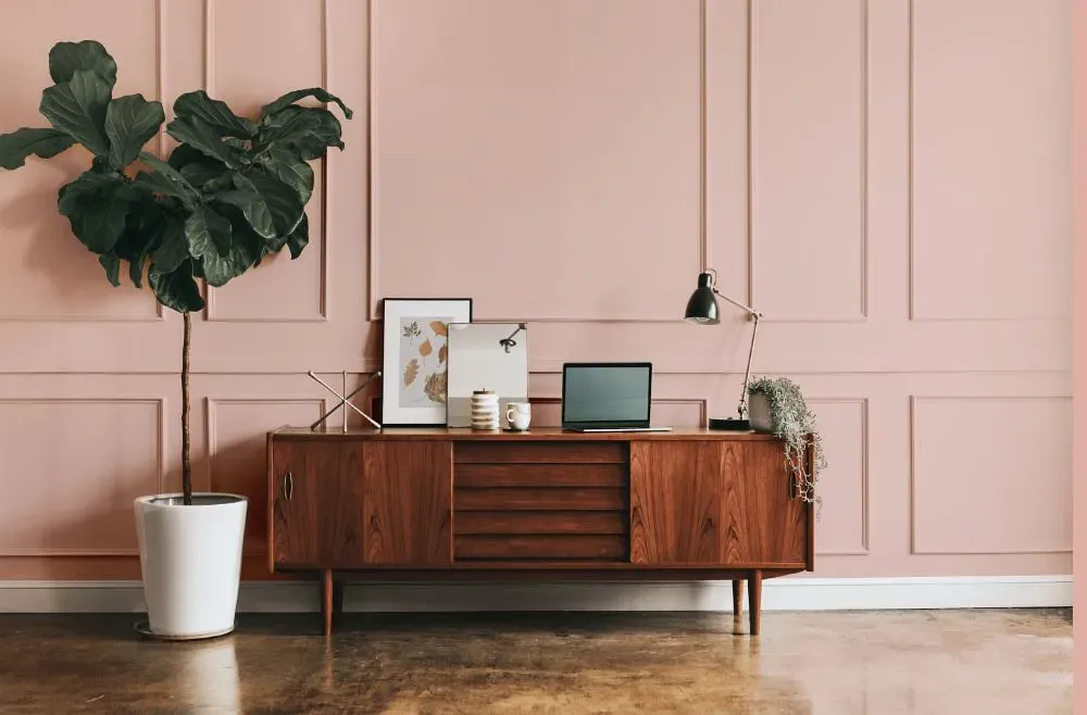 Benjamin Moore Rose Blush modern interior