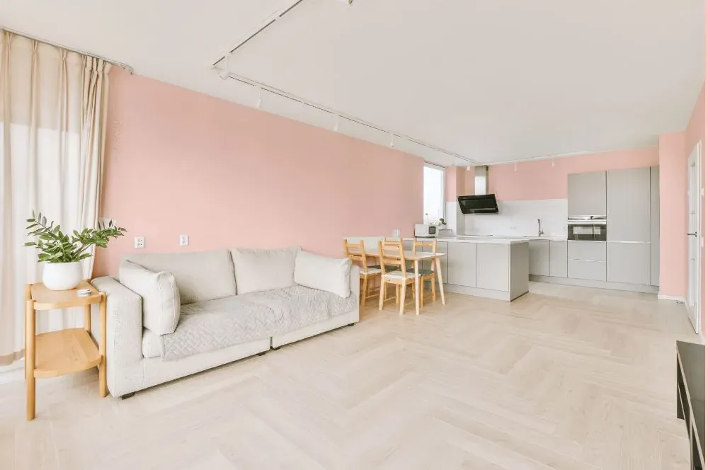 Benjamin Moore Rose Reflection living room interior