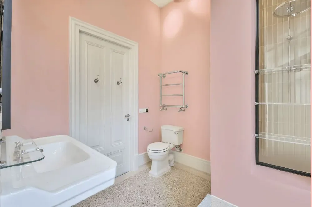 Benjamin Moore Rose Reflection bathroom