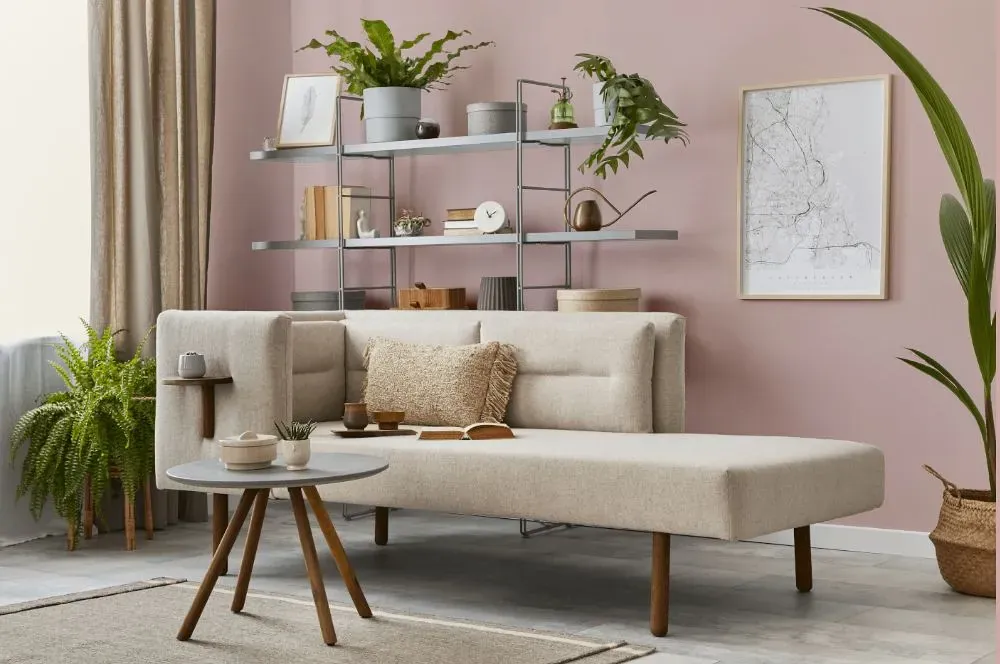 Benjamin Moore Rose Silk living room