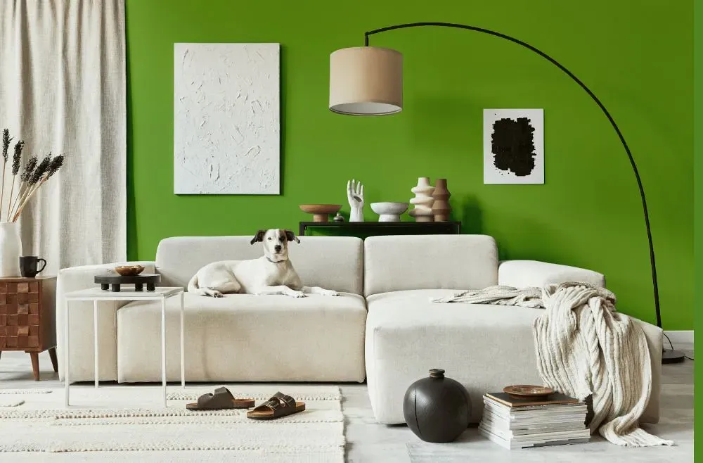 Benjamin Moore Rosemary Green cozy living room