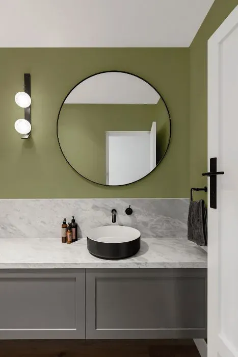 Benjamin Moore Rosemary Sprig minimalist bathroom