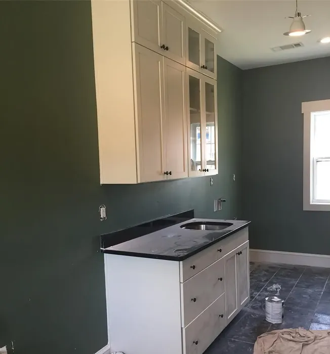 Benjamin Moore Rosepine kitchen color