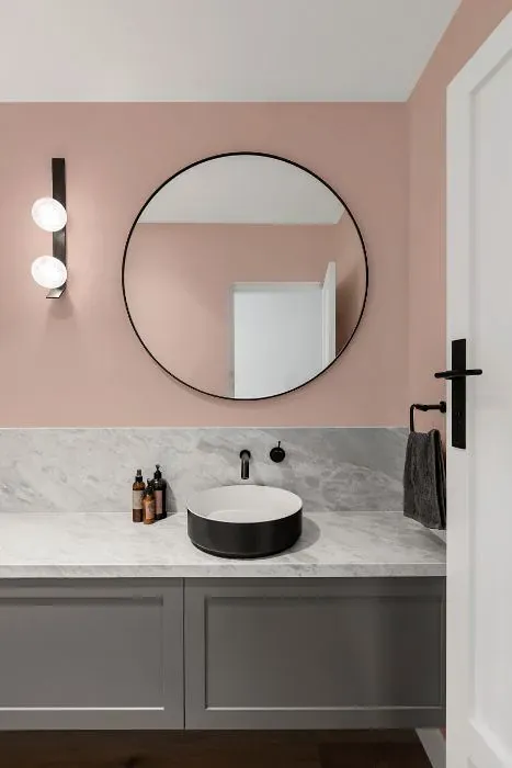 Benjamin Moore Rosetone minimalist bathroom