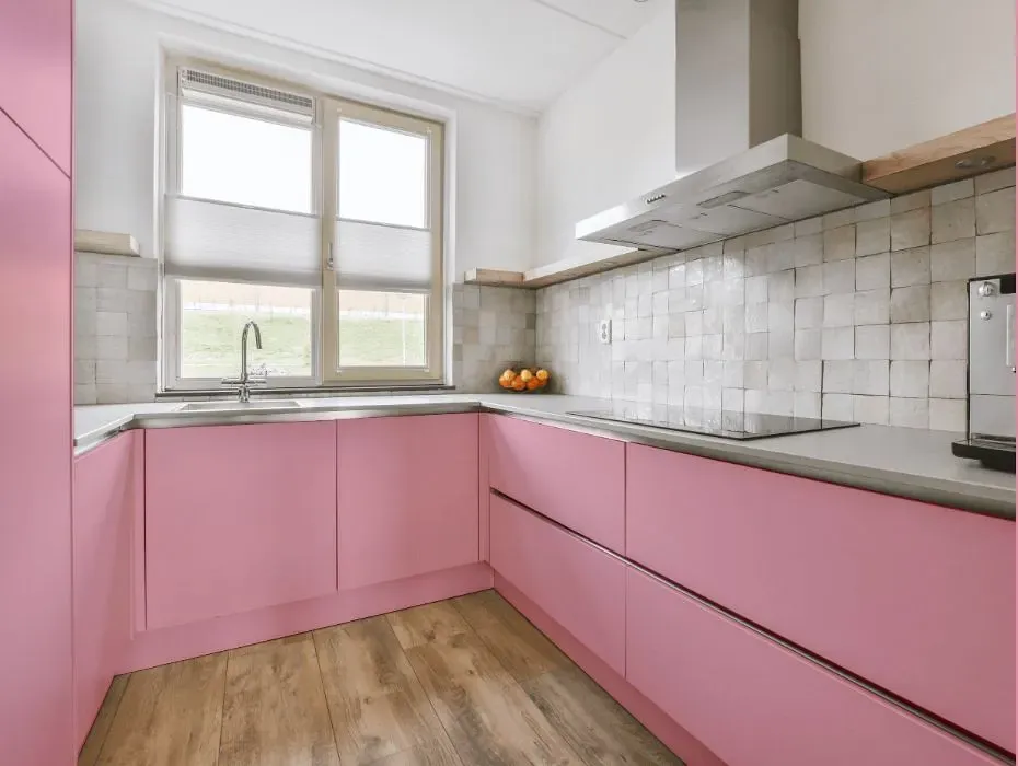Benjamin Moore Rosy Glow small kitchen cabinets