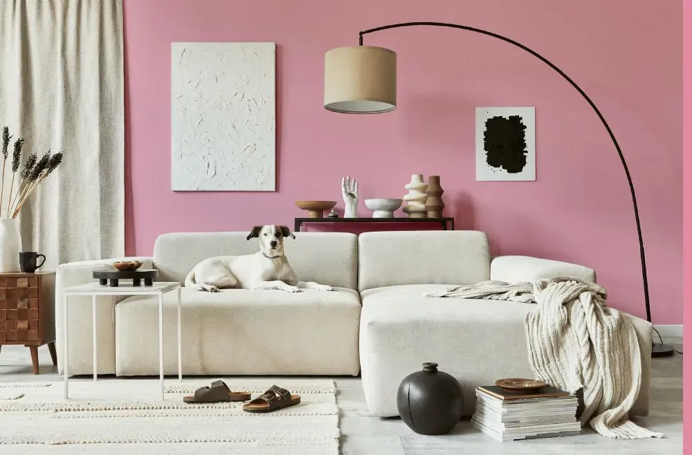 Benjamin Moore Rosy Glow cozy living room