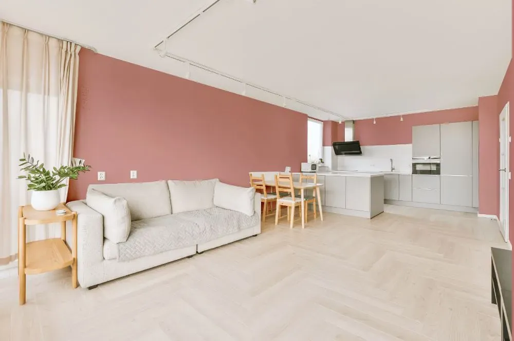 Benjamin Moore Rosy Tan living room interior