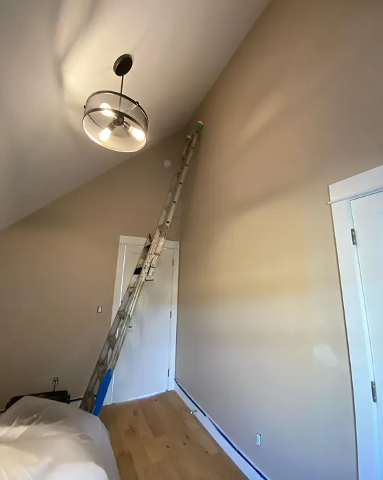 Royal Flax wall paint color review