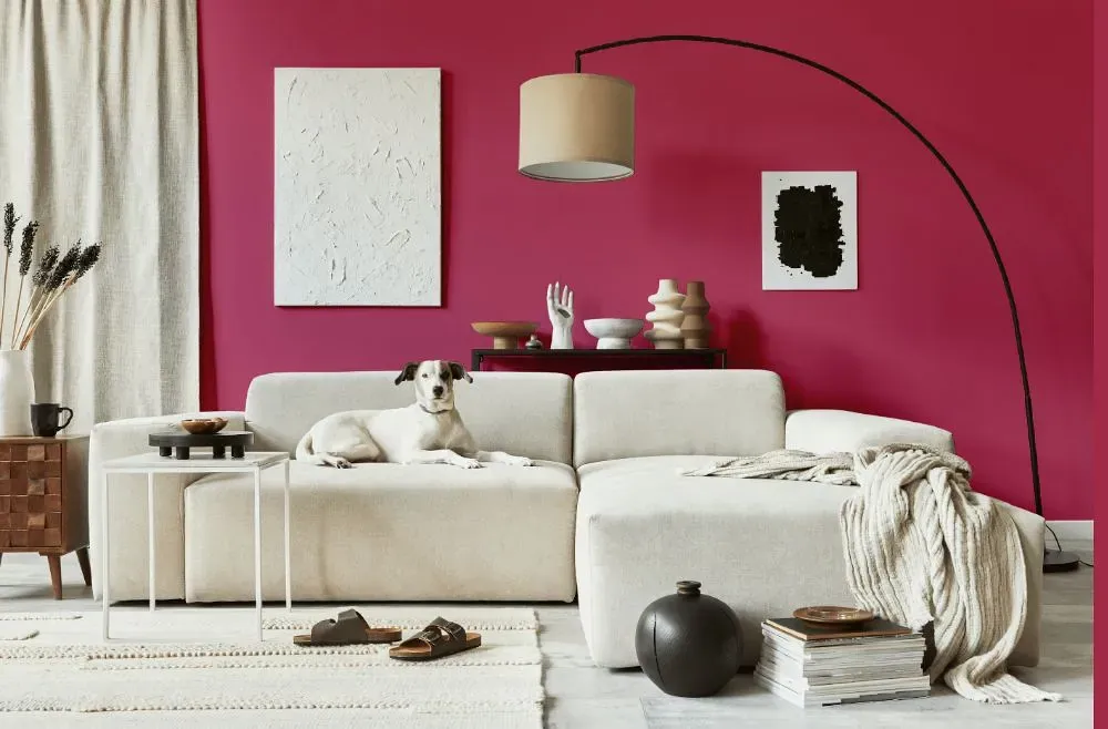 Benjamin Moore Royal Fuchsia cozy living room