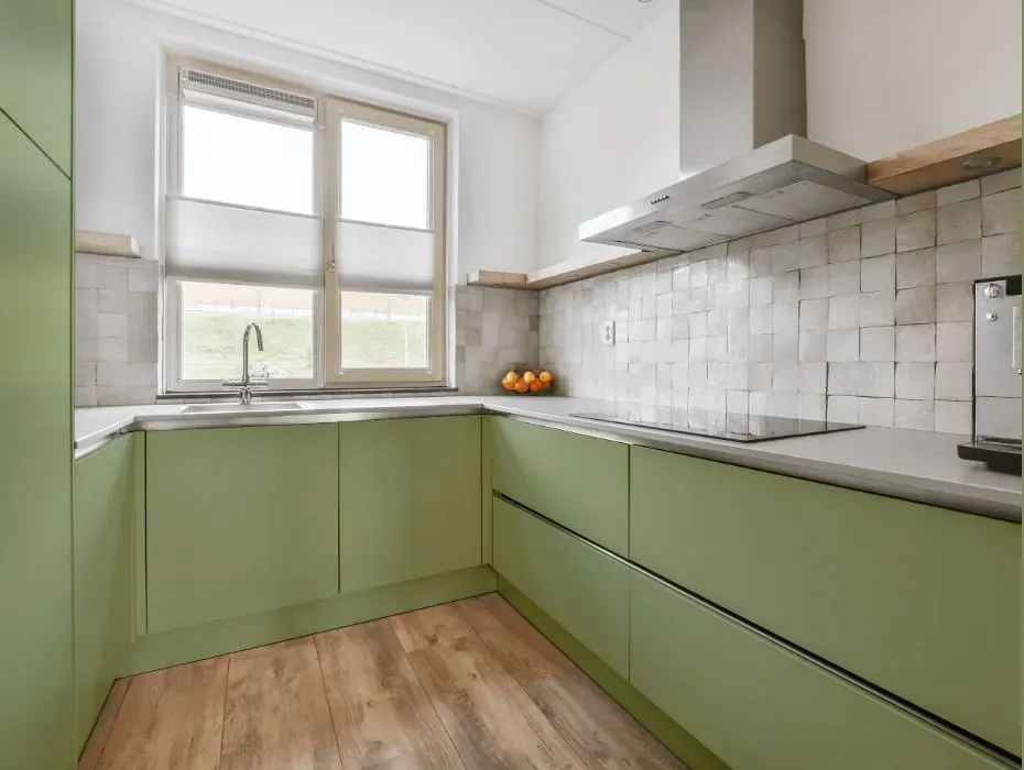 Benjamin Moore Russell Green small kitchen cabinets
