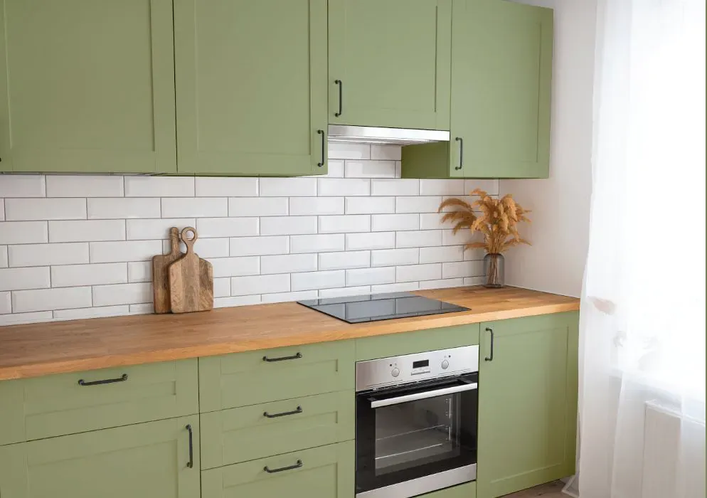 Benjamin Moore Russell Green kitchen cabinets