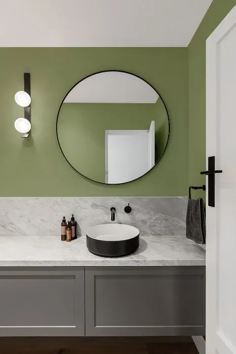 Benjamin Moore Russell Green minimalist bathroom