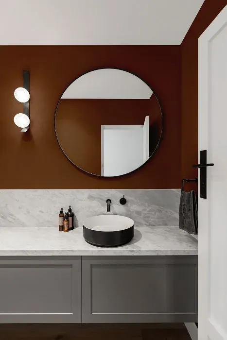 Benjamin Moore Saddle Brown minimalist bathroom