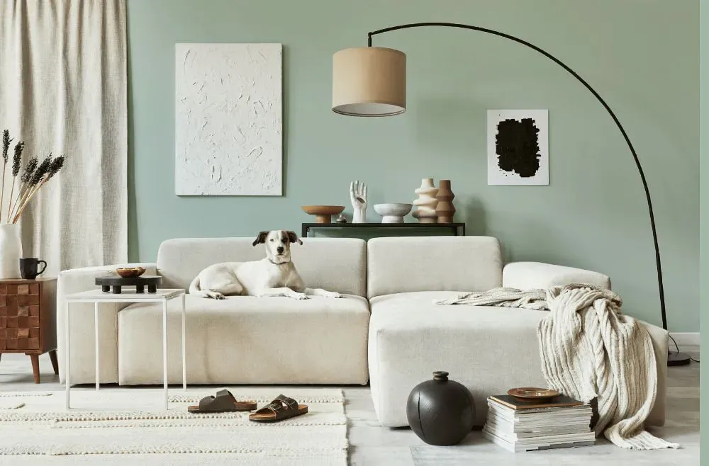 Benjamin Moore Sage Tint cozy living room