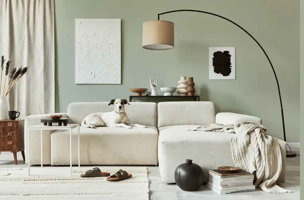Benjamin Moore Sagebrush cozy living room