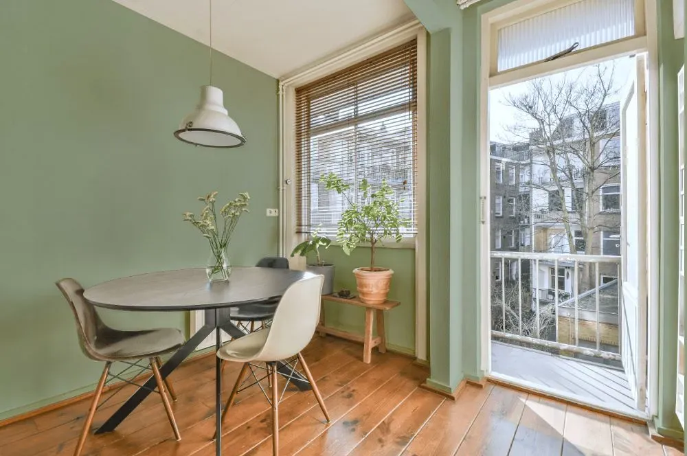 Benjamin Moore Salisbury Green living room