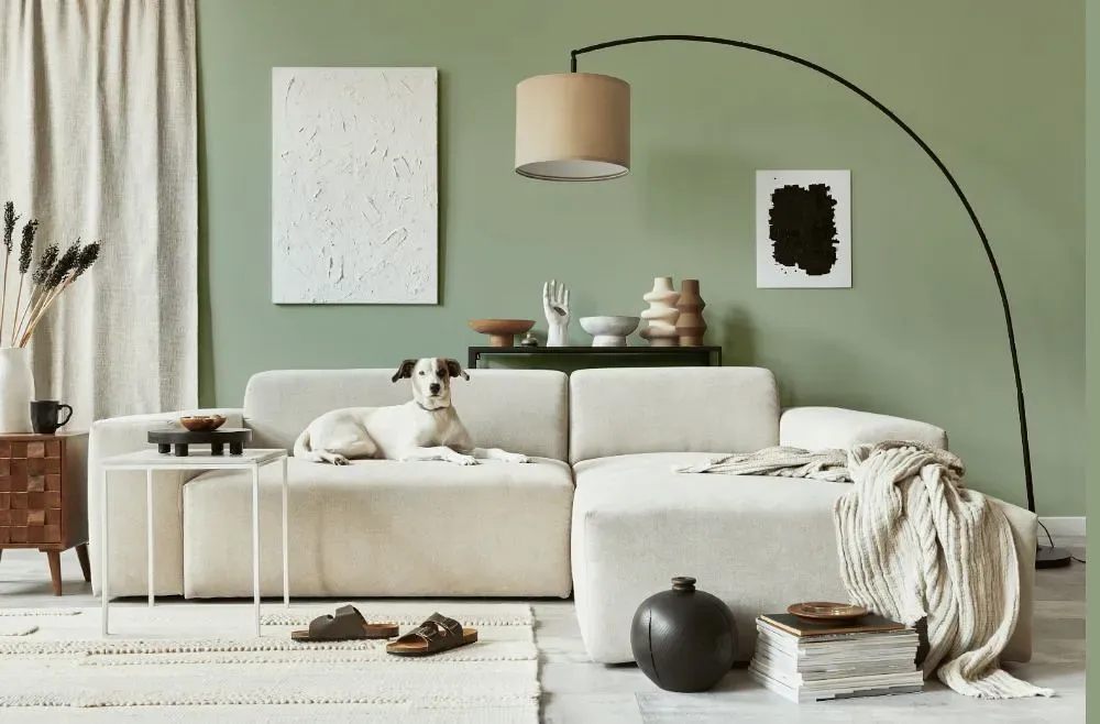 Benjamin Moore Salisbury Green cozy living room