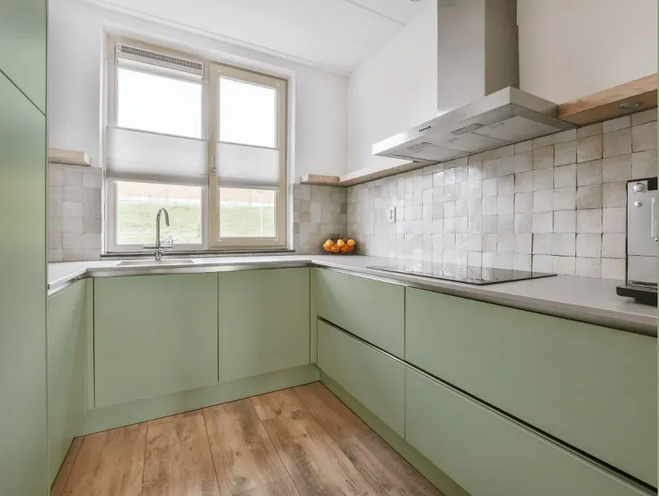 Benjamin Moore Salisbury Green small kitchen cabinets