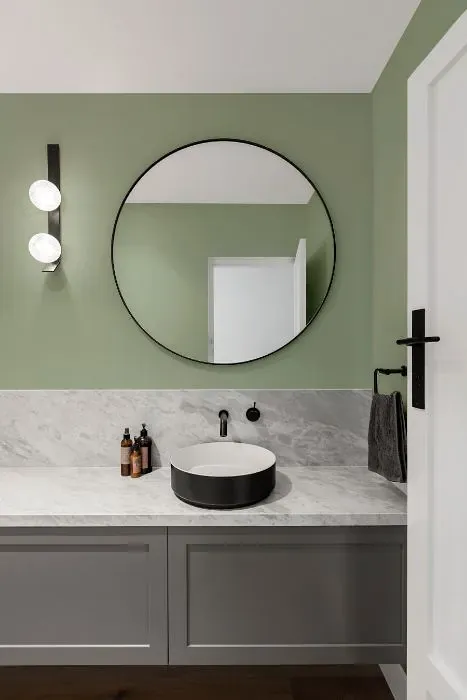 Benjamin Moore Salisbury Green minimalist bathroom