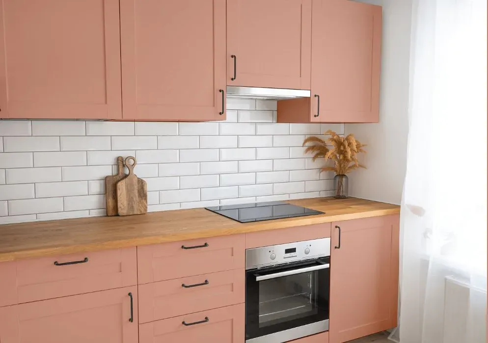Benjamin Moore Salmon Mousse kitchen cabinets