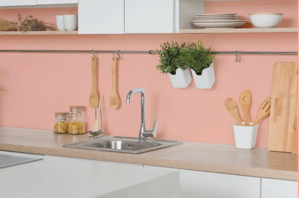 Benjamin Moore Salmon Peach kitchen backsplash