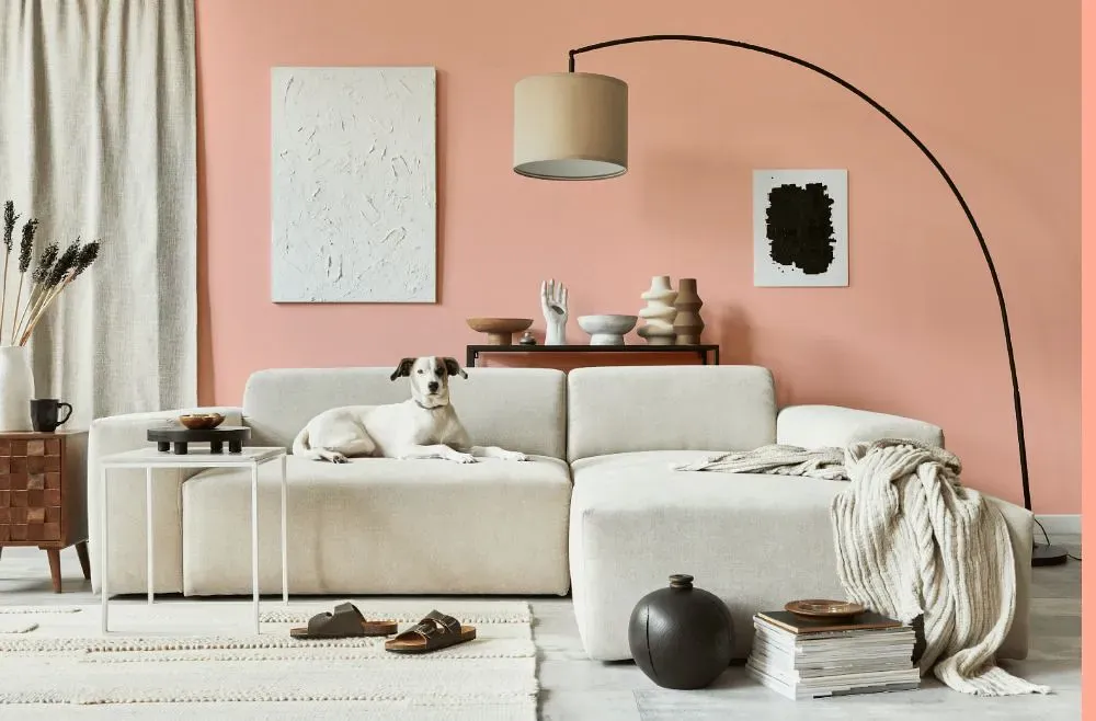 Benjamin Moore Salmon Peach cozy living room