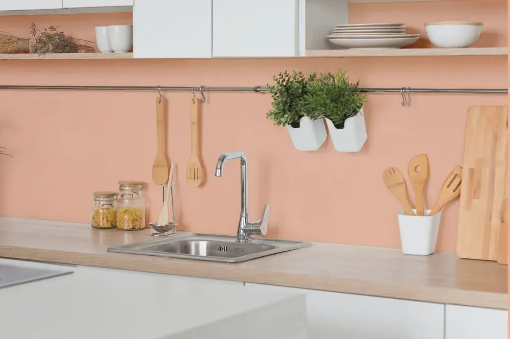 Benjamin Moore Sanibel Peach kitchen backsplash