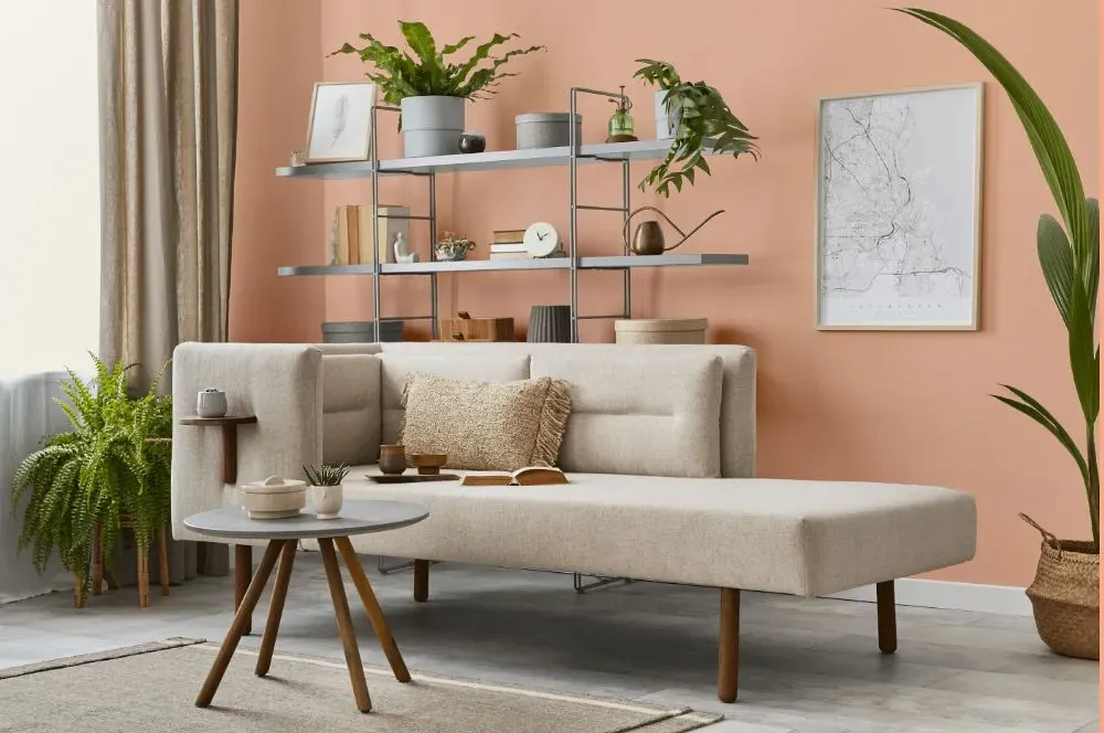 Benjamin Moore Sanibel Peach living room