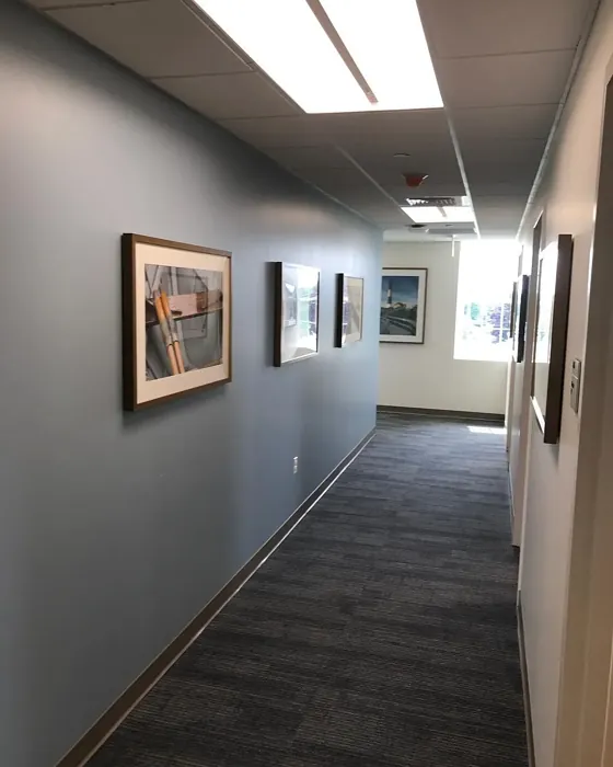 Benjamin Moore Nantucket Fog hallway paint review