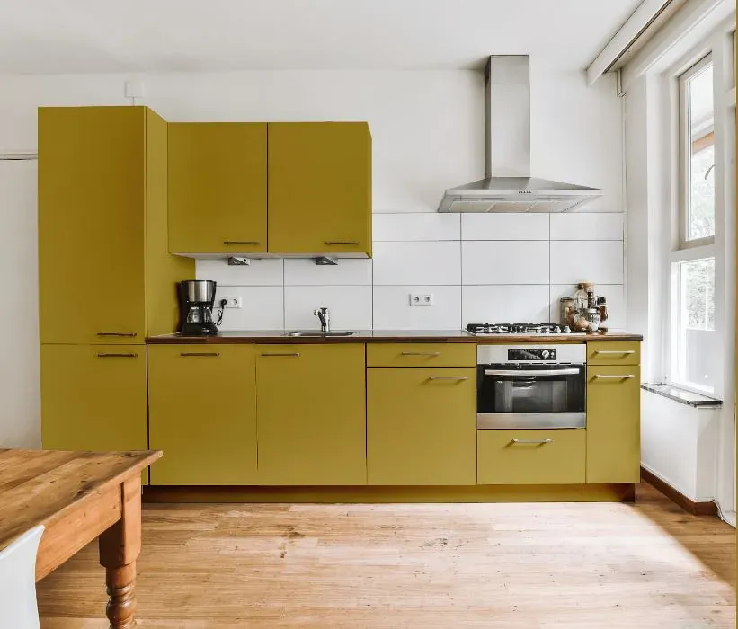 Benjamin Moore Savannah Green kitchen cabinets