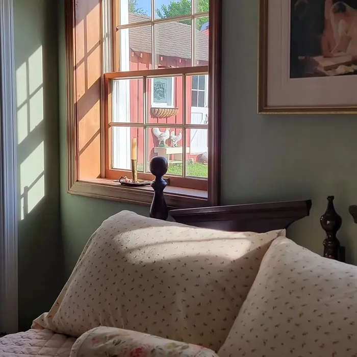 Benjamin Moore Saybrook Sage bedroom color review