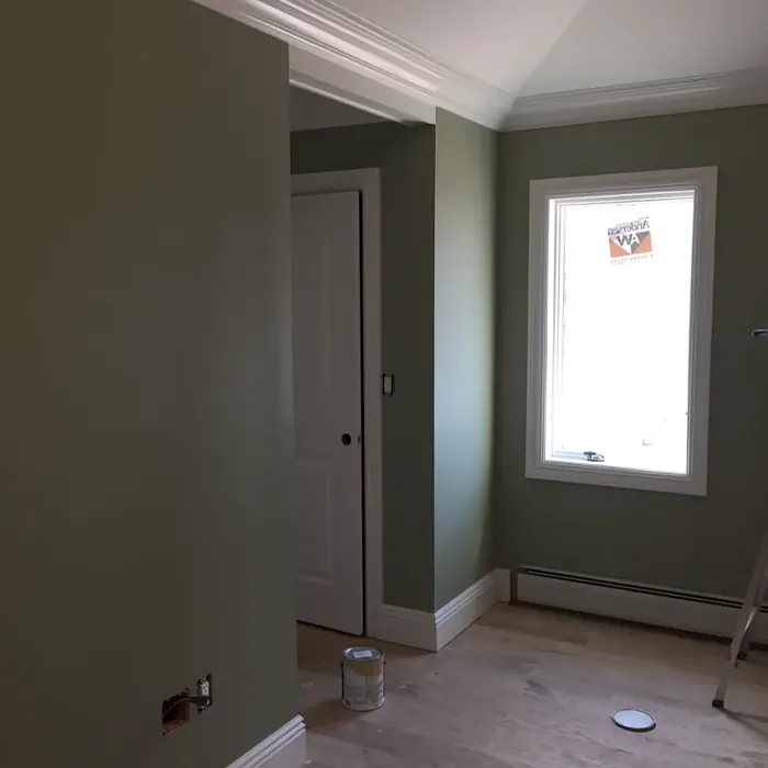 Benjamin Moore Saybrook Sage bedroom paint review