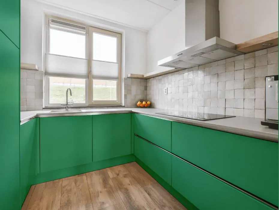 Benjamin Moore Scotch Plains Green small kitchen cabinets
