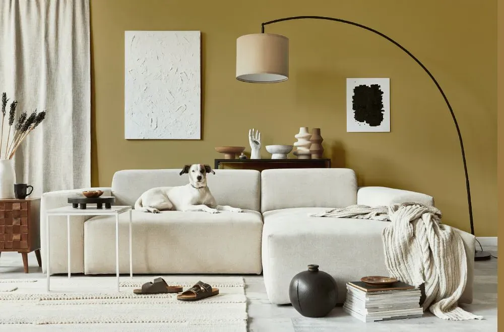 Benjamin Moore Scrivener Gold cozy living room