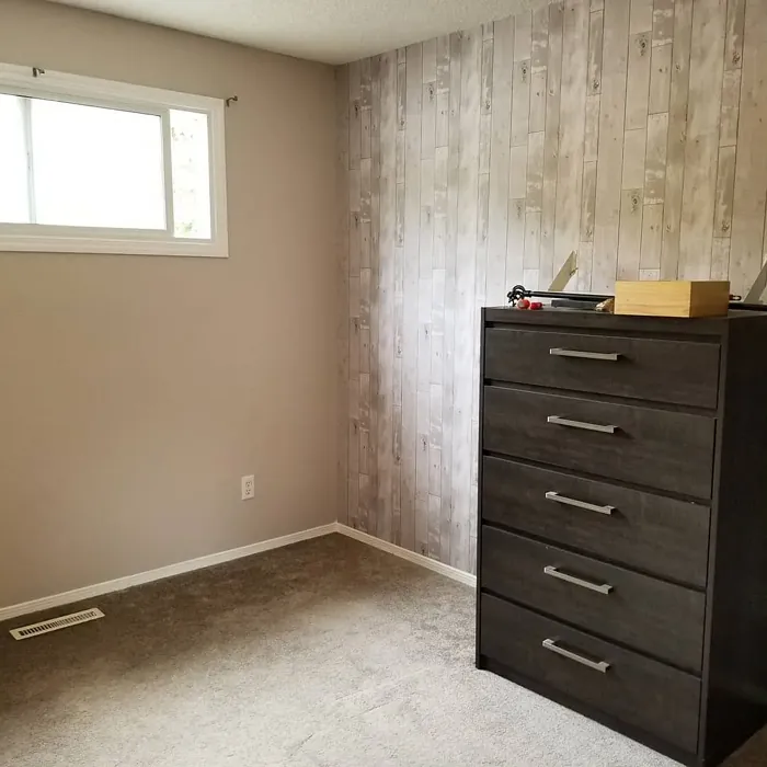 Benjamin Moore Sea Froth accent wall 