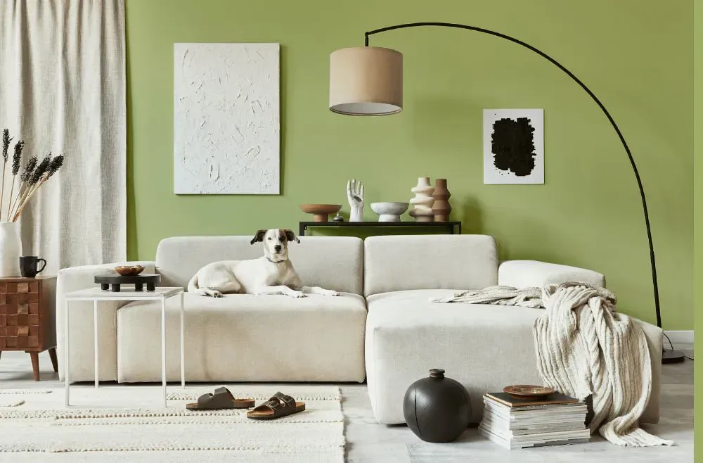 Benjamin Moore Shades of Spring cozy living room