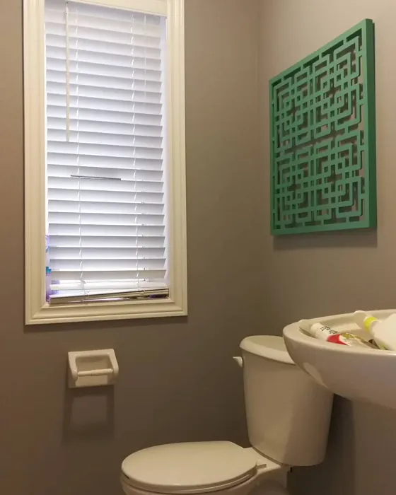 Benjamin Moore Shadow Gray bathroom color