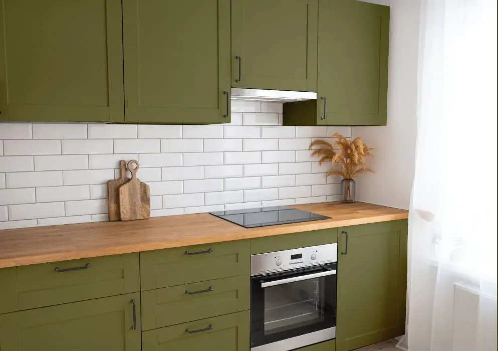 Benjamin Moore Shady Lane kitchen cabinets