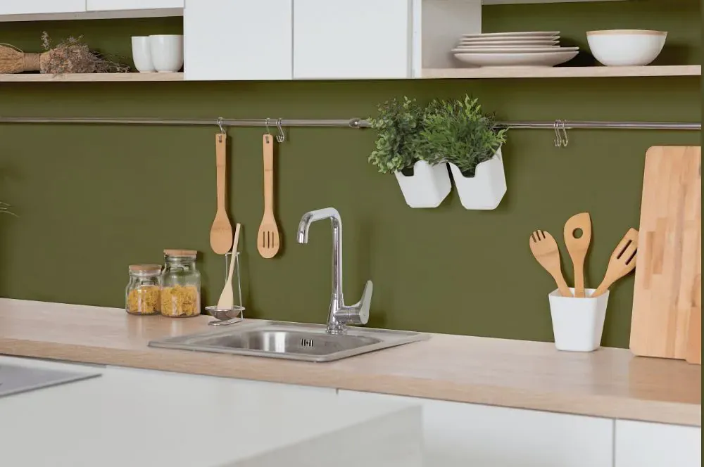 Benjamin Moore Shady Lane kitchen backsplash