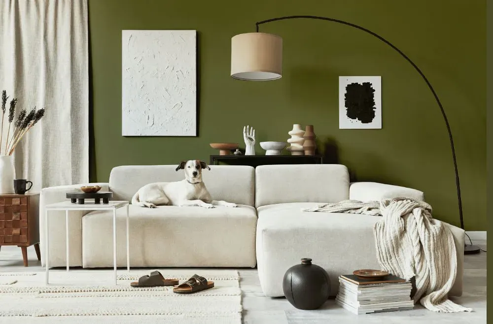 Benjamin Moore Shady Lane cozy living room