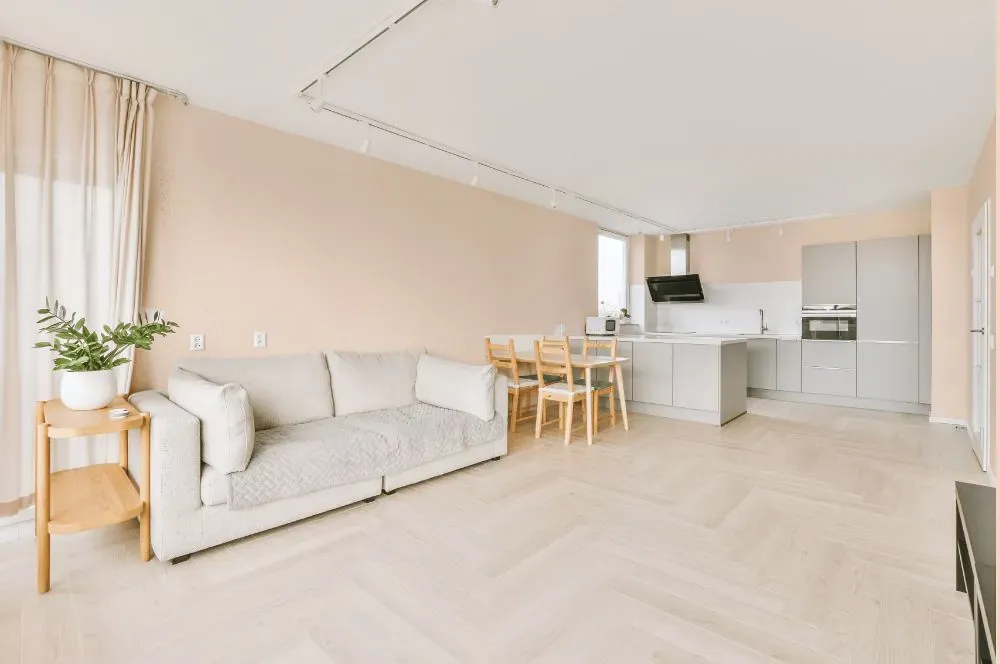 Benjamin Moore Sheer Pink living room interior