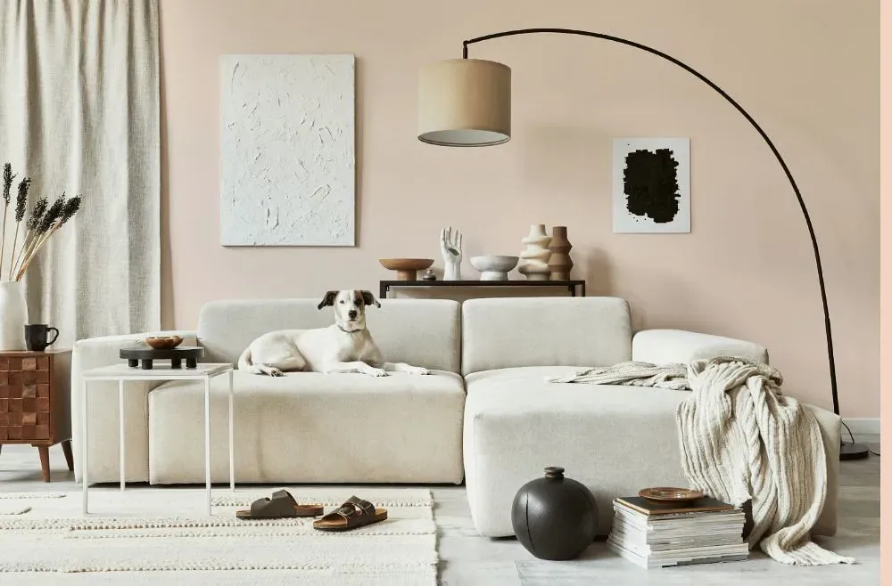 Benjamin Moore Sheer Pink cozy living room