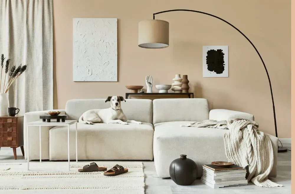 Benjamin Moore Sheraton Beige cozy living room