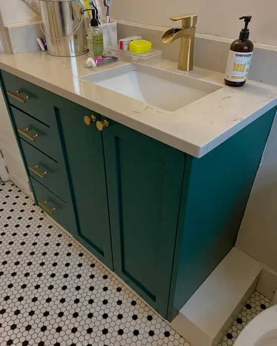 Benjamin Moore Sherwood Forest bathroom vanity color