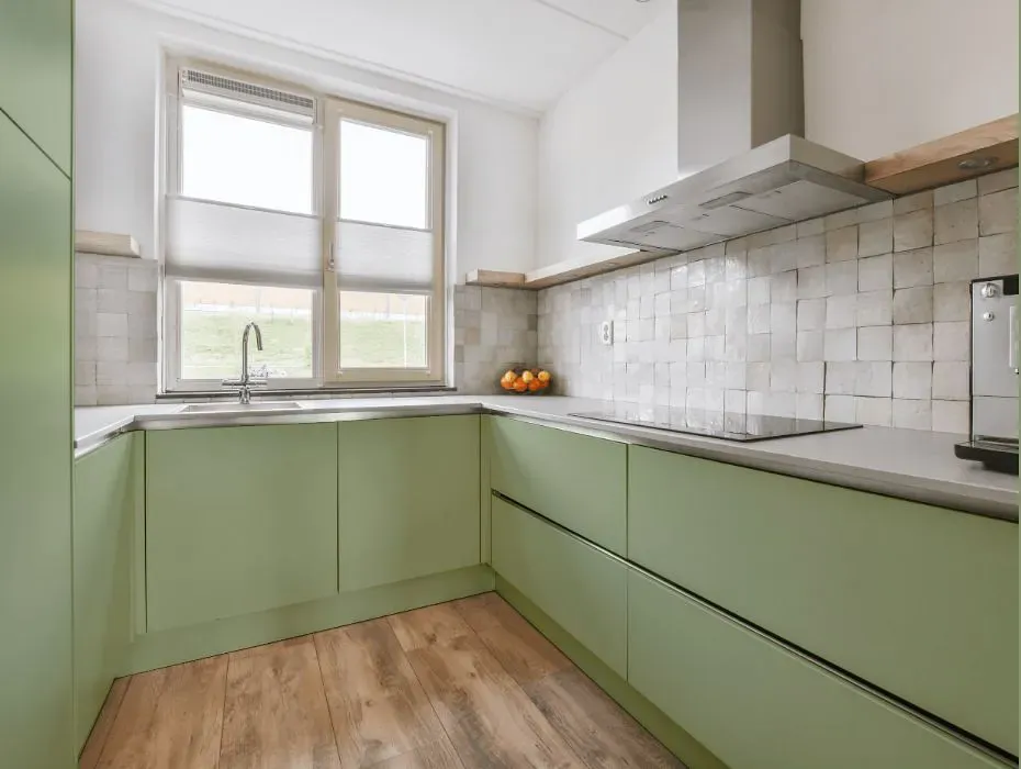 Benjamin Moore Sherwood Green small kitchen cabinets